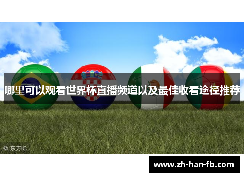 哪里可以观看世界杯直播频道以及最佳收看途径推荐