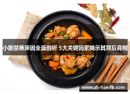 小斯禁赛原因全面剖析 5大关键因素揭示其背后真相