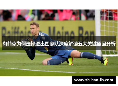 陶菲克为何选择退出国家队深度解读五大关键原因分析