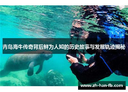 青岛海牛传奇背后鲜为人知的历史故事与发展轨迹揭秘