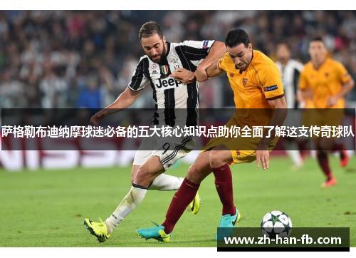 萨格勒布迪纳摩球迷必备的五大核心知识点助你全面了解这支传奇球队