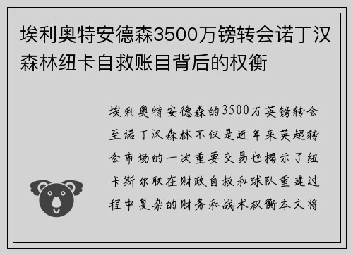 埃利奥特安德森3500万镑转会诺丁汉森林纽卡自救账目背后的权衡
