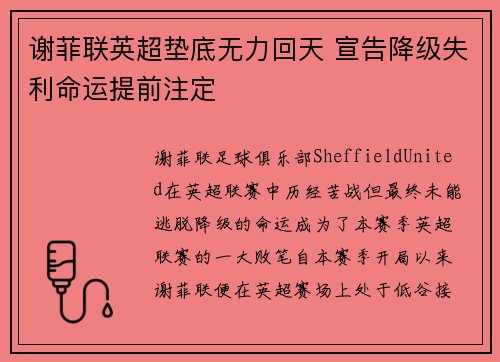 谢菲联英超垫底无力回天 宣告降级失利命运提前注定 谢菲联英超垫底无力回天 宣告降级失利命运提前注定